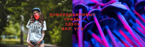 MESCALINE Надым