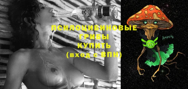 MESCALINE Надым