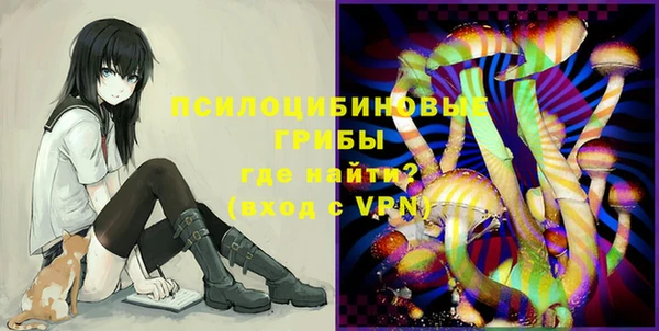 стафф Нея